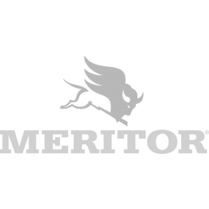 meritor.png